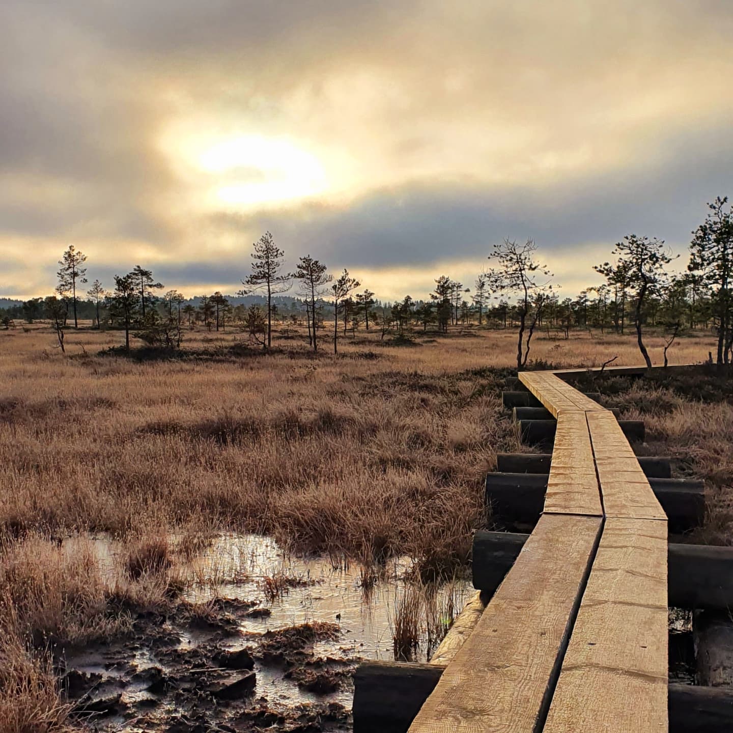 Sisältömarkkinointi